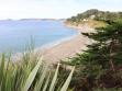 Seaton beach below the garden