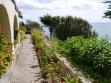 Rose Walk