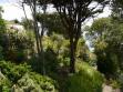 Lush planting
